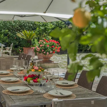 Il Fiore E La Farfalla Pésaro