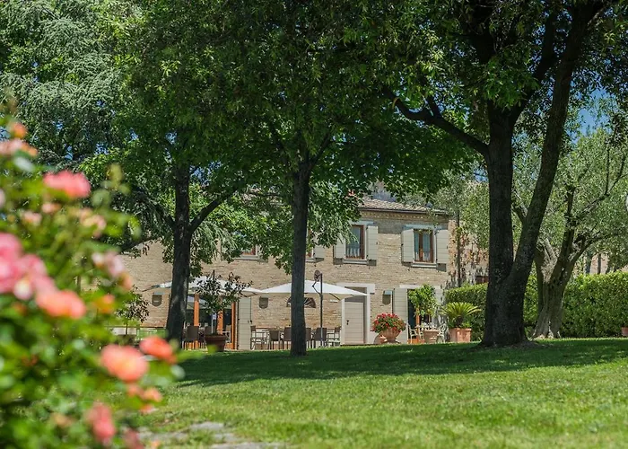 Il Fiore E La Farfalla Pésaro