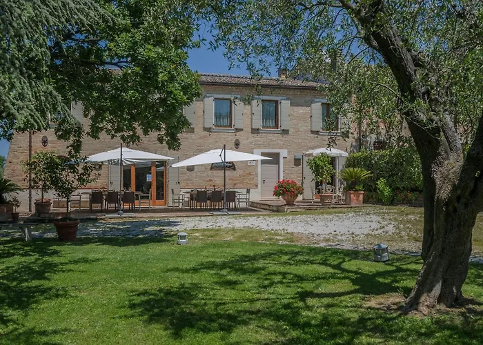 Il Fiore E La Farfalla *