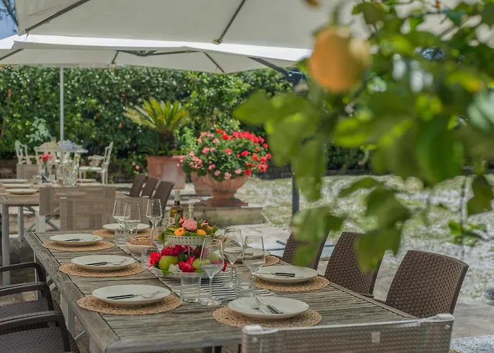 Il Fiore E La Farfalla Pésaro