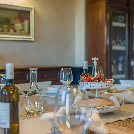 Willa Il Fiore E La Farfalla