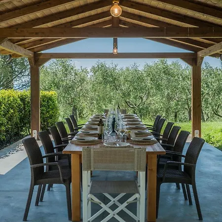 Il Fiore E La Farfalla * Pesaro