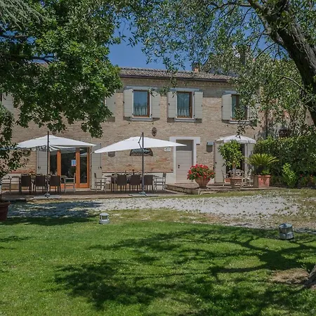 Il Fiore E La Farfalla *