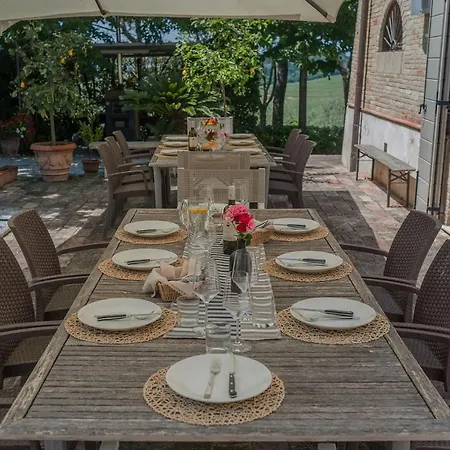 Il Fiore E La Farfalla