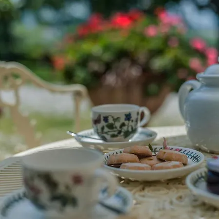 Il Fiore E La Farfalla * Pesaro