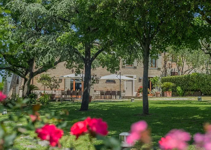 Il Fiore E La Farfalla